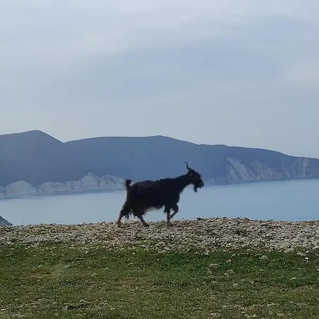 Semesterbostad Dina's House *